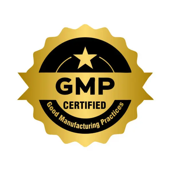 Arteris Plus GMP
